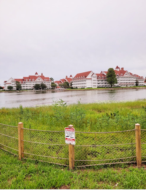 Alligators at Disney's Grand Floridian resort