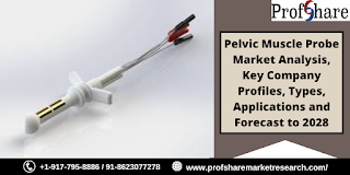 Pelvic Muscle Probe Market