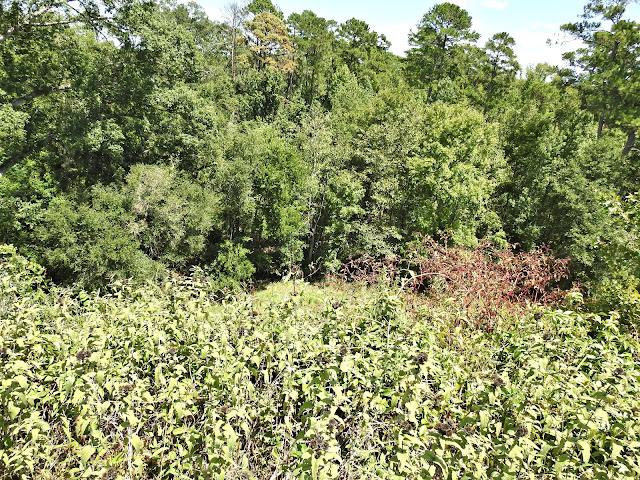 Kolomoki Mounds State Park