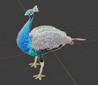 Peacock Bird free 3d models blender obj fbx low poly