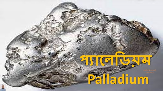 প্যালেডিয়ম, Palladium - মেটেরিয়া মেডিকা - হোমিওপ্যাথিক মেডিসিন