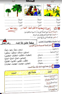 كتاب الاضواء اللغة العربية الصف الرابع الابتدائى الترم الثانى المنهج الجديد pdf كامل