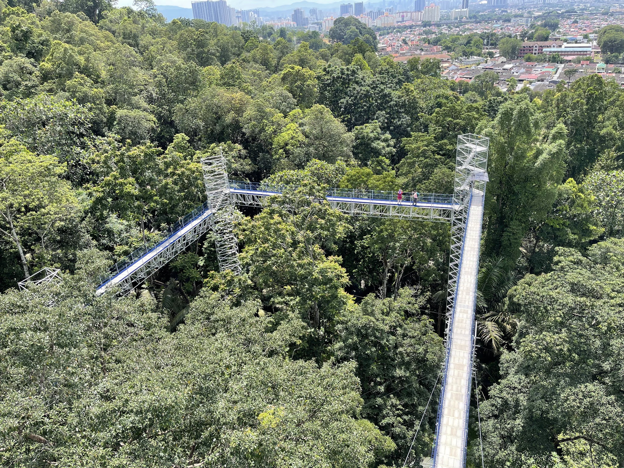 FOREST SKYWALK (JEJANTAS RIMBA) FRIM KEPONG LOKASI WAJIB KUNJUNG DI SELANGOR