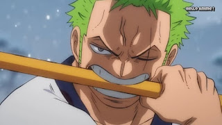 ワンピースアニメ 934話 ワノ国編 | ロロノア・ゾロ | ONE PIECE Roronoa Zoro