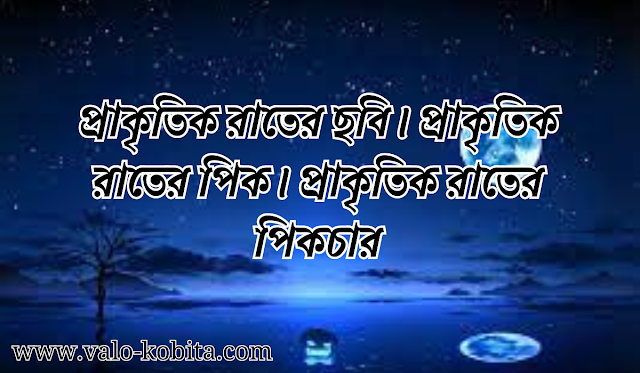 প্রাকৃতিক রাতের ছবি। প্রাকৃতিক রাতের পিক। প্রাকৃতিক রাতের পিকচার