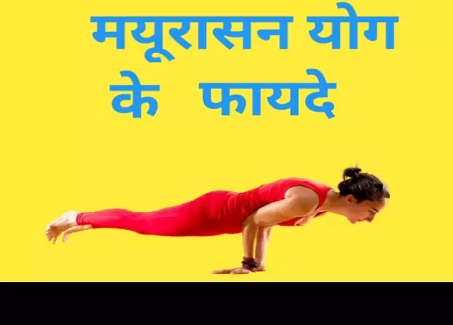 Benefits of mayurasana yoga in hindi मयूरासन करने के फायदे विधि और सावधानी