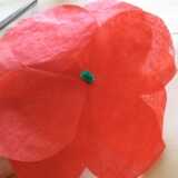 Coffee Filter Poppy Flower step 6