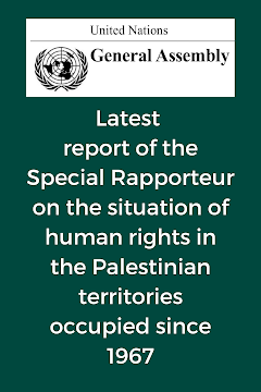 UN Special Rapporteur Report (Available in 6 languages)