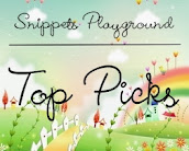 Snippets Playground Top Pick