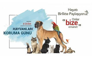 Hayatı Birlikte Paylaşıyoruz Onlar bize emanet. 4 ekim Hayvanları Koruma Günü