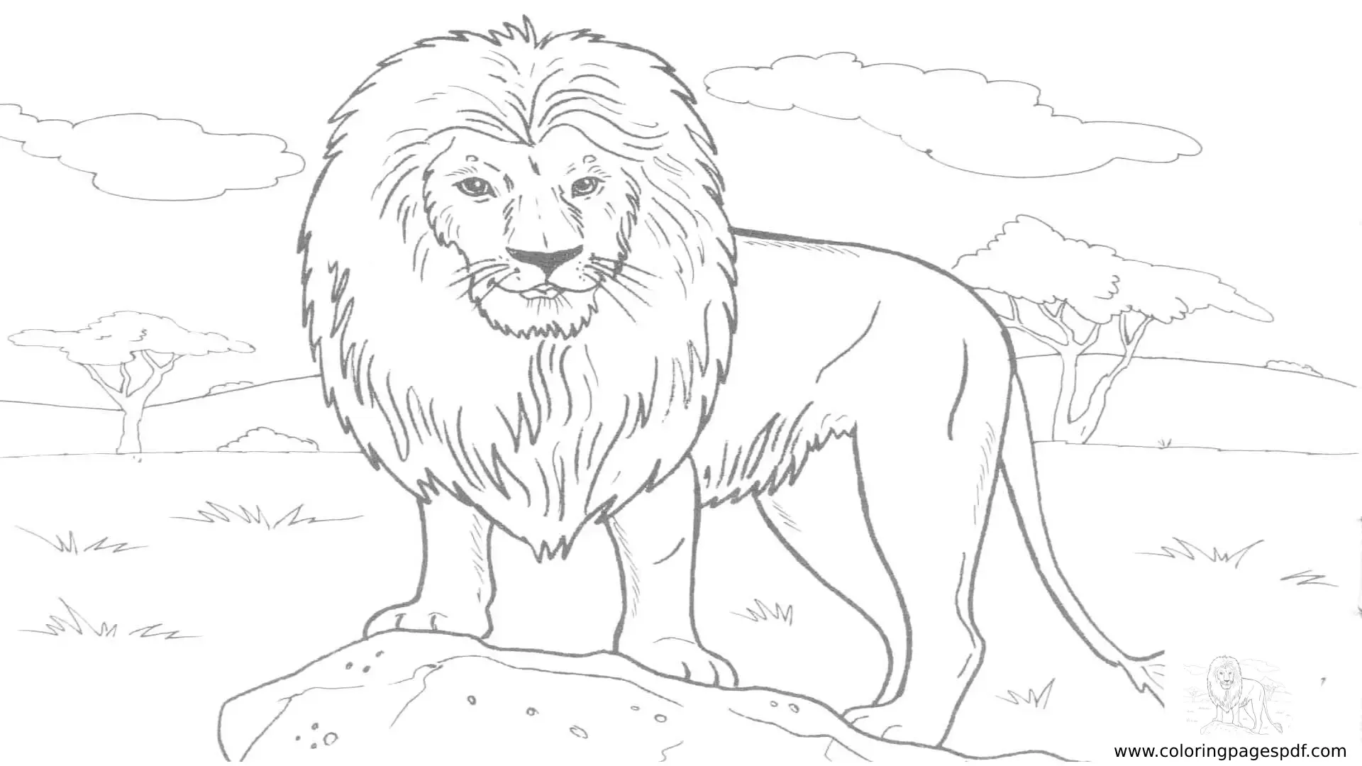 Coloring Pages Of Long Fur Lion