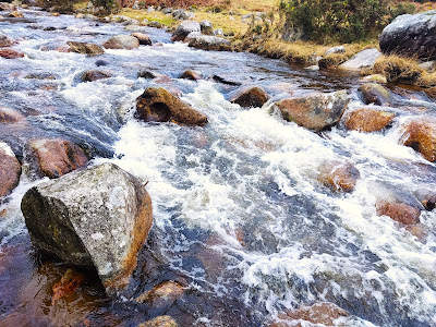 Bullaun Stone, Glendalough