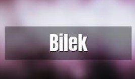 Arti Bilek di TikTok