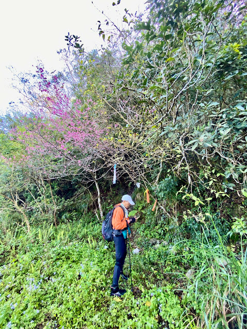 小鬼湖林道--亞泥笛山西北稜登山口