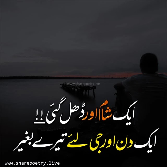 Best 75 Urdu Captions For instagram - heart tuching instagram urdu caption