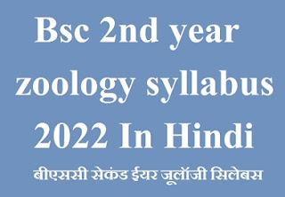 Bsc 2nd year zoology syllabus
