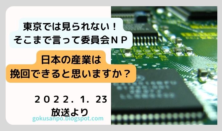 東京では見られない！そこまで言って委員会ＮＰ