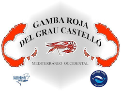 GAMBA DEL GRAU DE CASTELLÓN