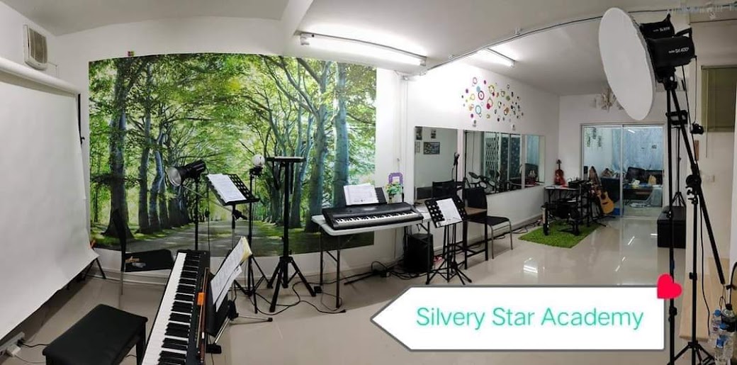 ....   "SILVERY STAR ACADEMY" ARTIST TRAINING   ....