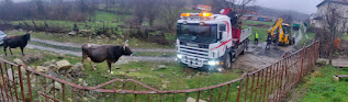 Cows, stuck truck, JCB and other truck
