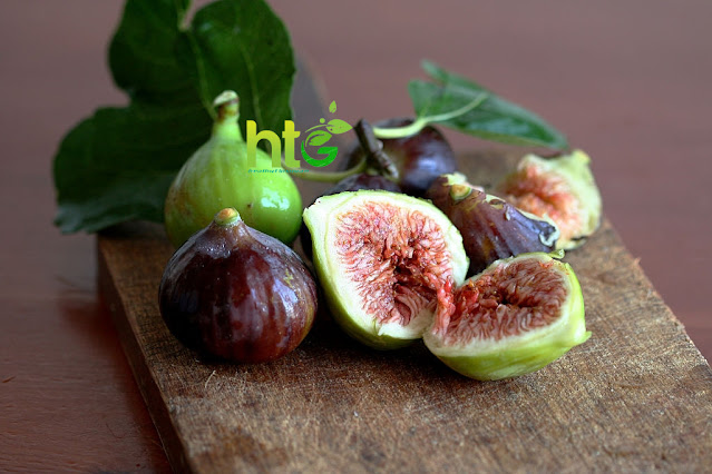 fig benefits for skin