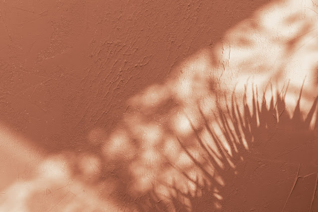 Peach Fuzz Abstract Shadows on Wall