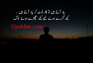 Urdu Poetry - Best Urdu Shayari & Ghazals of Famous Poets - Hamariweb Find Urdu poetry & ghazals by famous Pakistani and Indian poets. You can easily text copy paste and read the famous Urdu shayari and best Poetry in Urdu