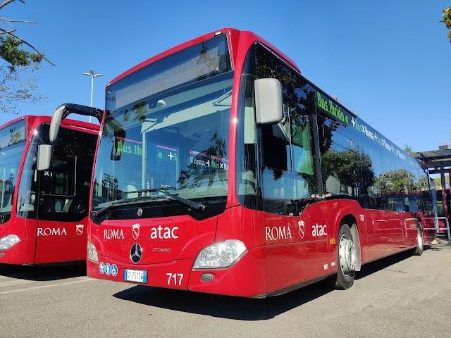 Prima di Natale entreranno in servizio i 70 autobus mild hybrid