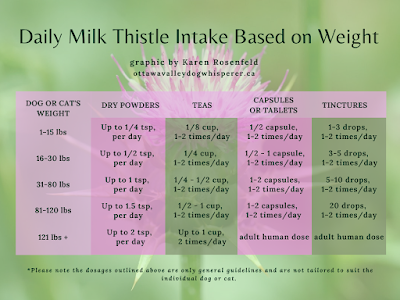 Milk Thistle herb dosage for dogs and cats