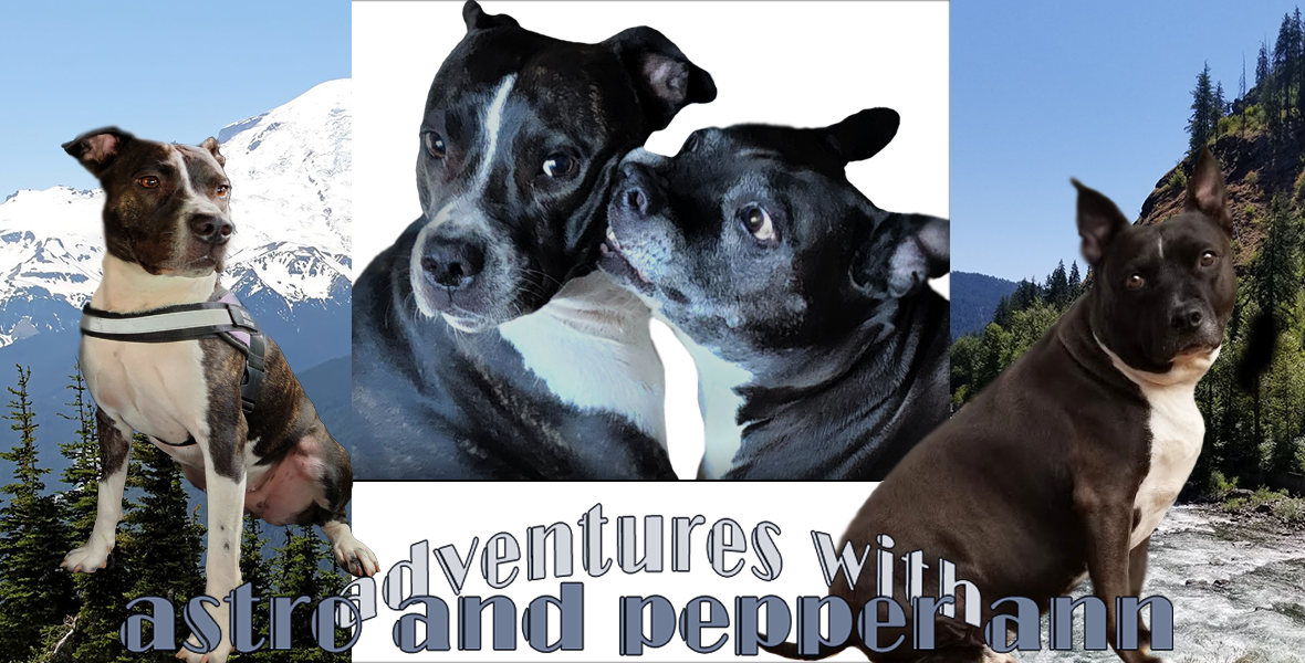 The Adventures Of Astro and Pepper