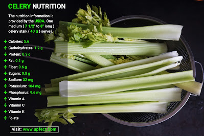 Celery Benefits For Women