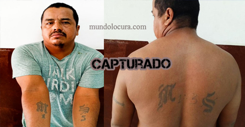 El Salvador: Capturan a pandillero de la MS en San Miguel  / tatuajes en brazo y espalda lo delataron