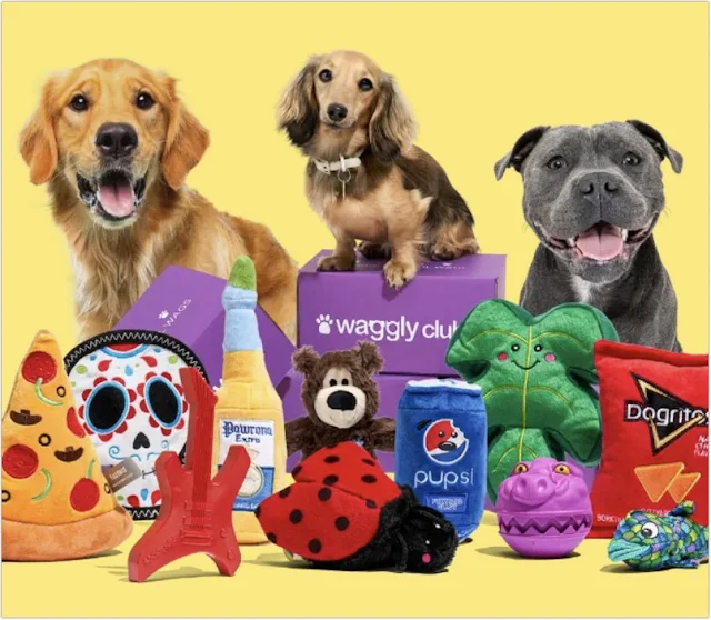 Best Dog Toy Subscription Box for Multiple Dogs