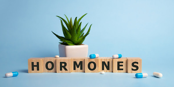  Happy, healthy, hormones: how to hack your hormones