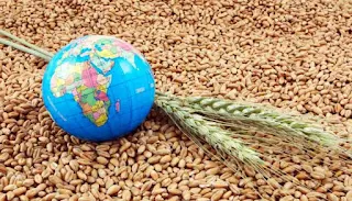Global Food Security (GFS) Index 2021