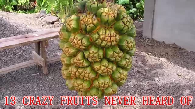 13 Crazy Fruit You've Never Heard Of