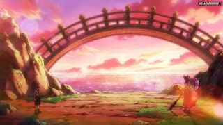 ワンピースアニメ 1013話 | ONE PIECE Episode 1013