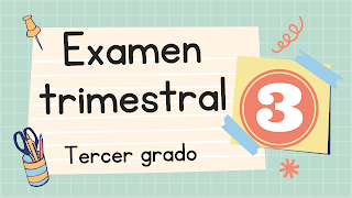 Examen trimestral 3 grado