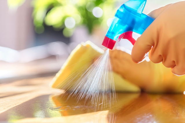 Indoor Cleaning Agents Exposure During Pregnancy Increases Asthma Risk in Child
