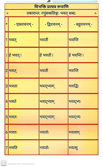 तकारान्त नपुंसकलिंग भवत् शब्द