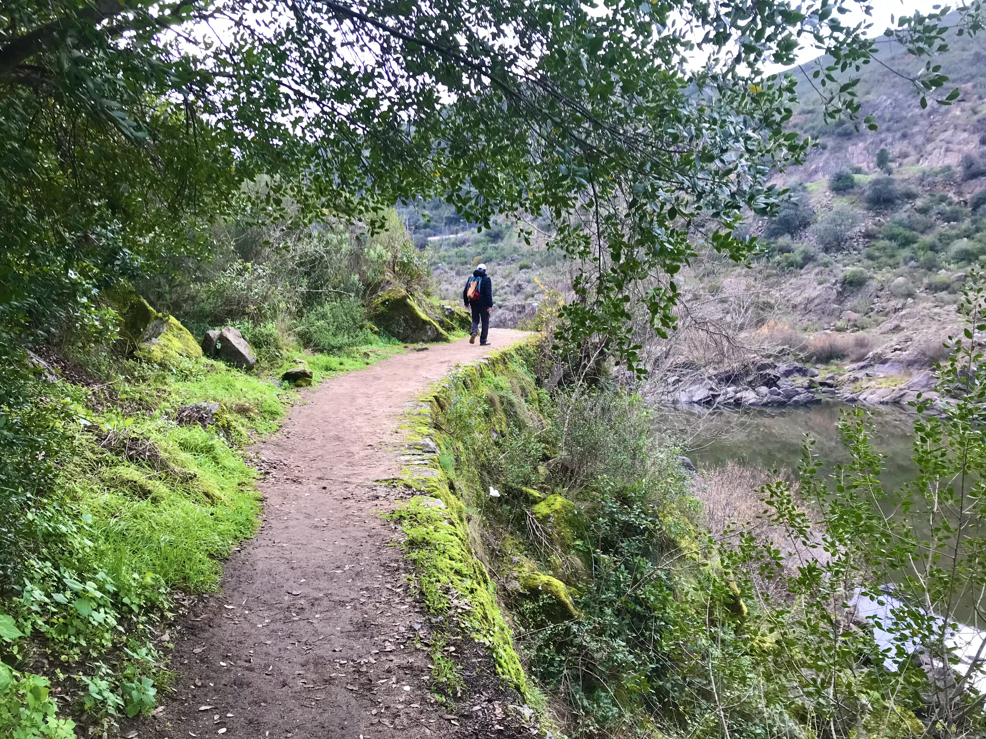 Alentejo, Portugal, trilho da Barca d'Amieira, PR11 NIS, Trilho das Jans, skywalk, passadiços, baloiços lilases, Figueiró, barragem do Fratel, rio Tejo, walking, hiking