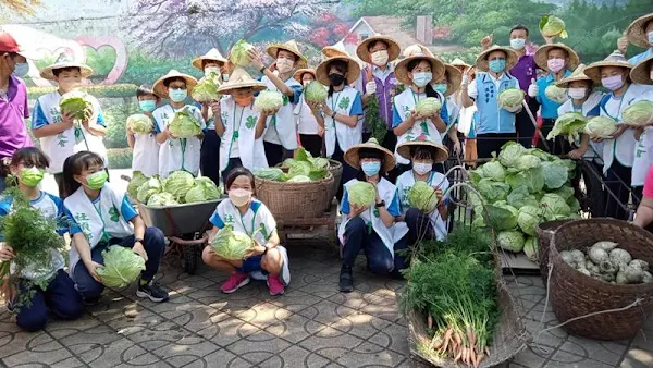 社頭鄉農會辦理食農教育　青銀共學體驗田園之樂