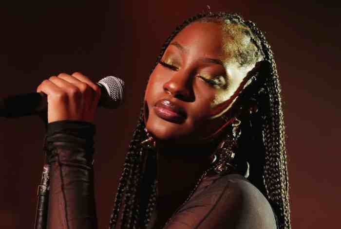 Nigerian Singer, Tems ,NAACP Image Award,