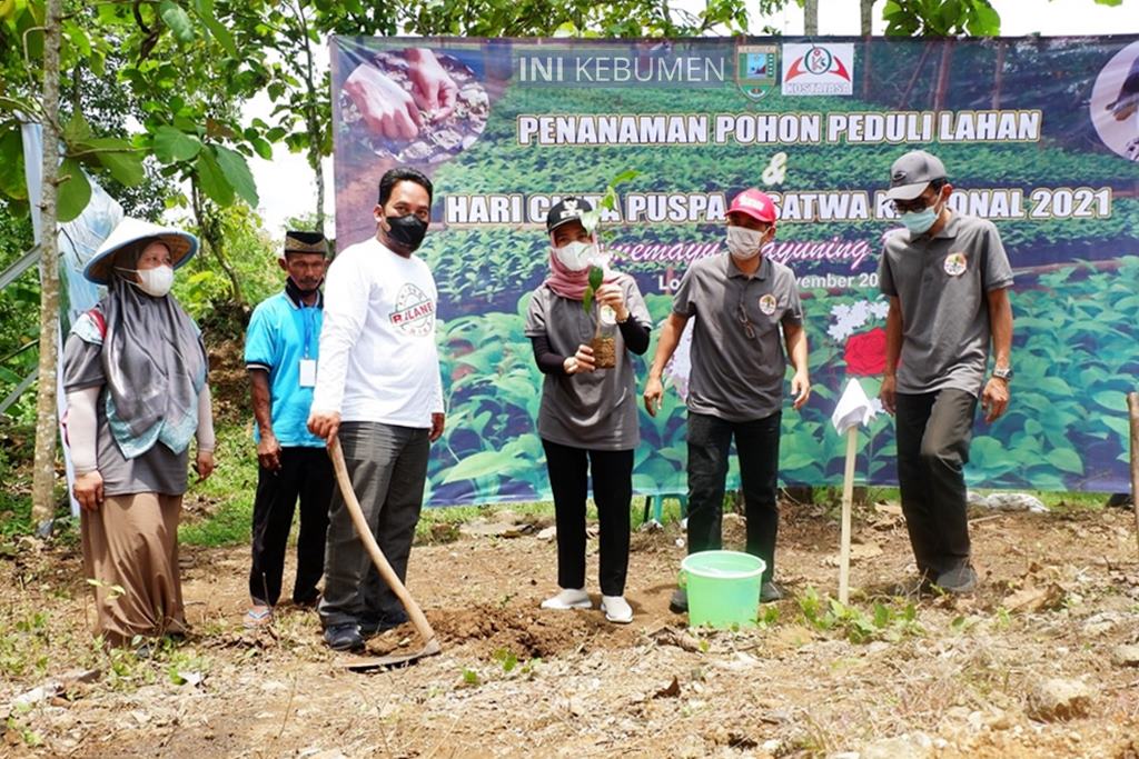 Keren! Tebang Satu Pohon, Wajib Ganti Lima Pohon