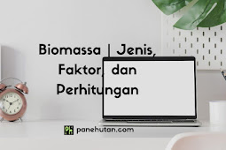 Biomassa | Jenis, Faktor, dan Perhitungan