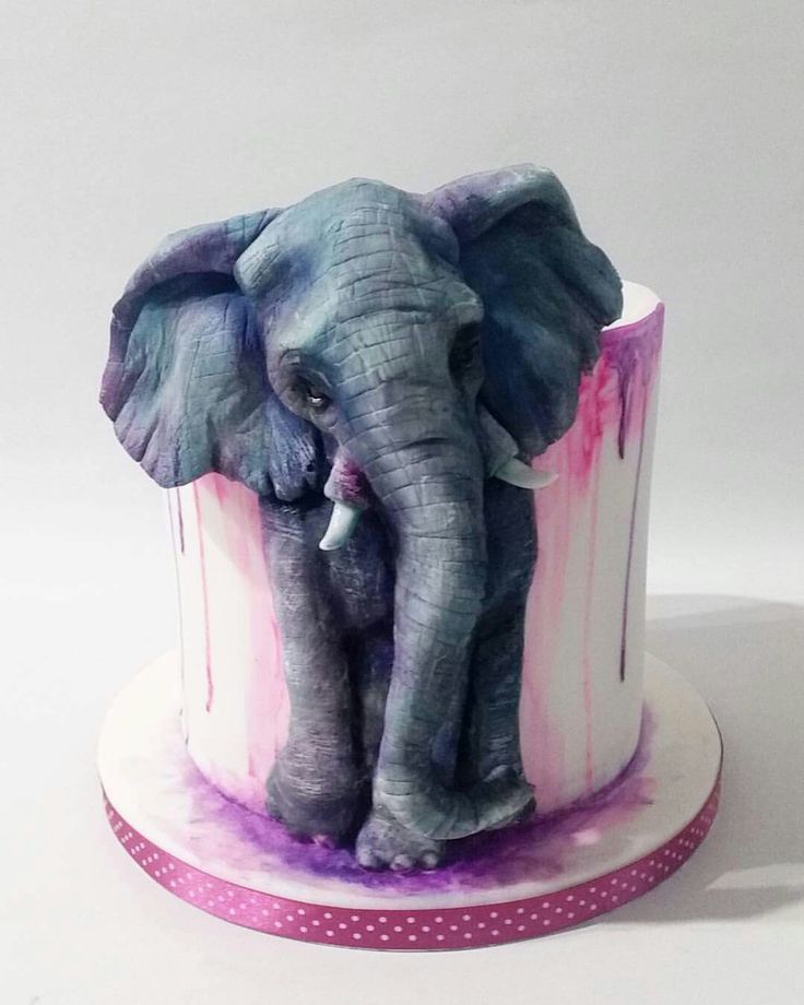 elephant cake ideas