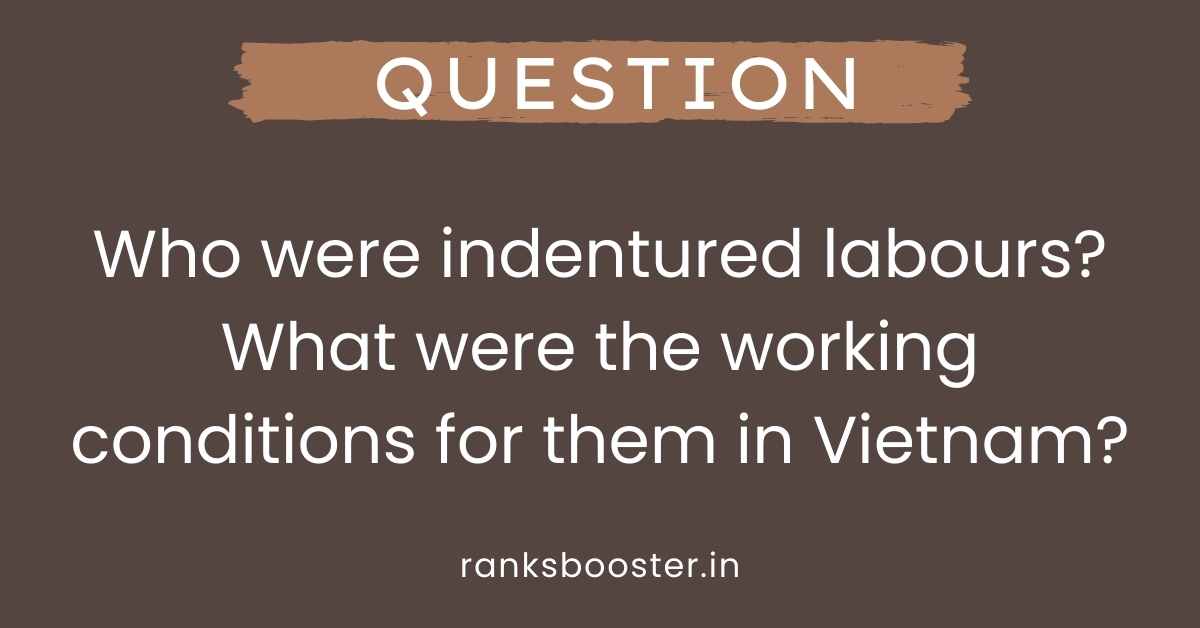 Who were indentured labours? What were the working conditions for them in Vietnam?