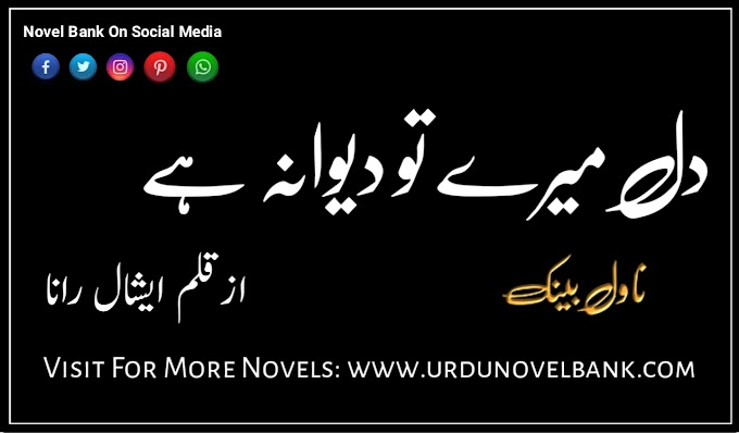 Dil Mere Tu Deewana Hai by Eshal Rana Novel Complete Pdf Download 