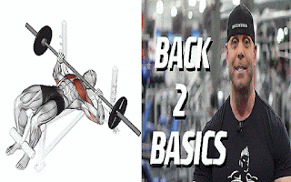 wwww.guidemuscle.com