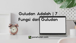 Guludan Adalah | 7 Fungsi dari Guludan